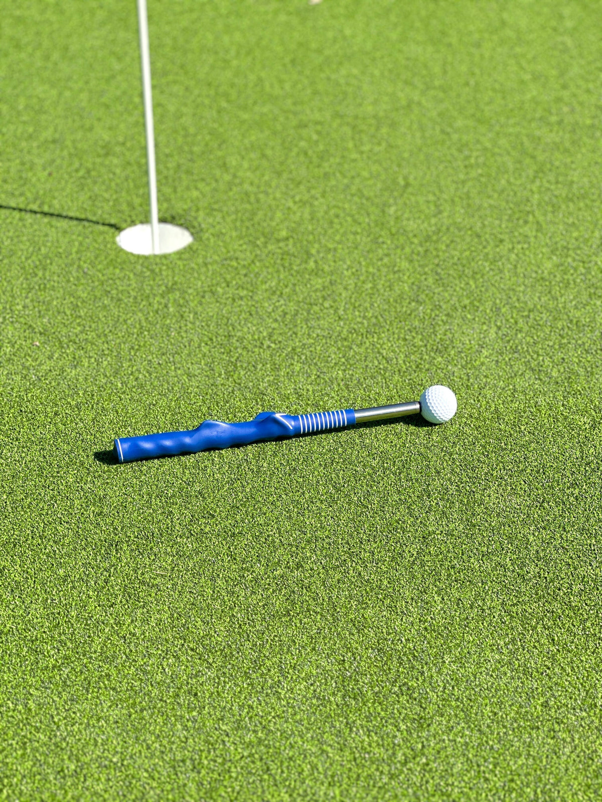 IMG_5564_1200x.jpg?v=1698811609